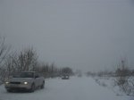 SDC11890.JPG