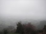 PICT0093.jpg
