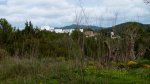MTB_2010-01-23_SantMiquel01.jpg