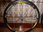 DSC01497.JPG