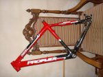 DSC04208.jpg