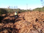 RUTA BTT CASTRO 016.jpg