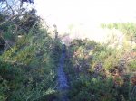RUTA BTT CASTRO 005.jpg