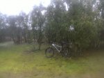 DSC00096.JPG
