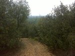 DSC00097.JPG
