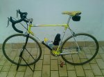 COLNAGO 2.jpg