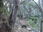 DSC09078.jpg