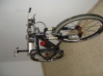 DSC06297.jpg