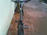 DSC00493.jpg