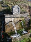 DSC03217.jpg