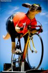 tdu10st06-roo.jpg