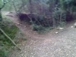 23012010152.jpg