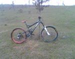 Sx.jpg