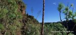 Matanza en Valsendero_010.JPG