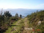 DSC03215.jpg