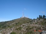 DSC03213.jpg