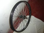 DSC04522.jpg