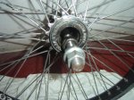 DSC04523.jpg
