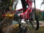 DSCN1517.jpg
