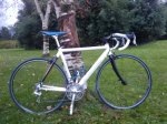 2009-12-31 16.54.11.jpg