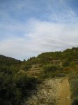 P1010043.jpg