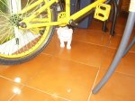 IMG_3067.jpg