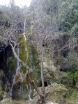 24012010217.jpg
