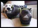 zapas_2.jpg