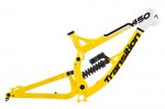 TR450_studio_Yllw-Wht_frameSM.jpg