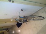27012010086.jpg