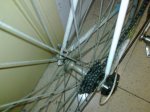 27012010088.jpg