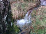28012010_001.jpg