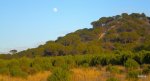 DSCN1116.JPG