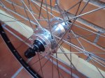 DSC00571.JPG