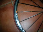 DSCN2816.JPG