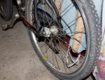 Bici 2.jpg