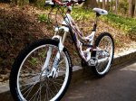 DSC01286-1.jpg