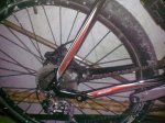 28012010388.jpg