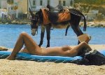 burro.jpg