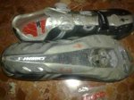 29012010029.jpg