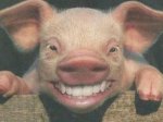 cerdo.jpg