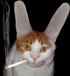 gaton_fumador.jpg