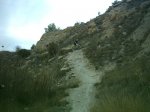 las_ca_as_005.jpg