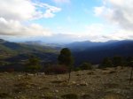 nerpio_27-03-05_062_copia.jpg