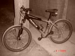Imagen 832.jpg