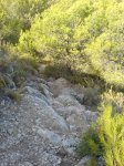 Copia de DSC00151.JPG