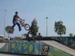 DSC03878.jpg