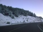 28012010526.jpg