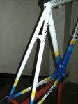 SANY0421.jpg