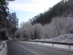 DSC02474.jpg